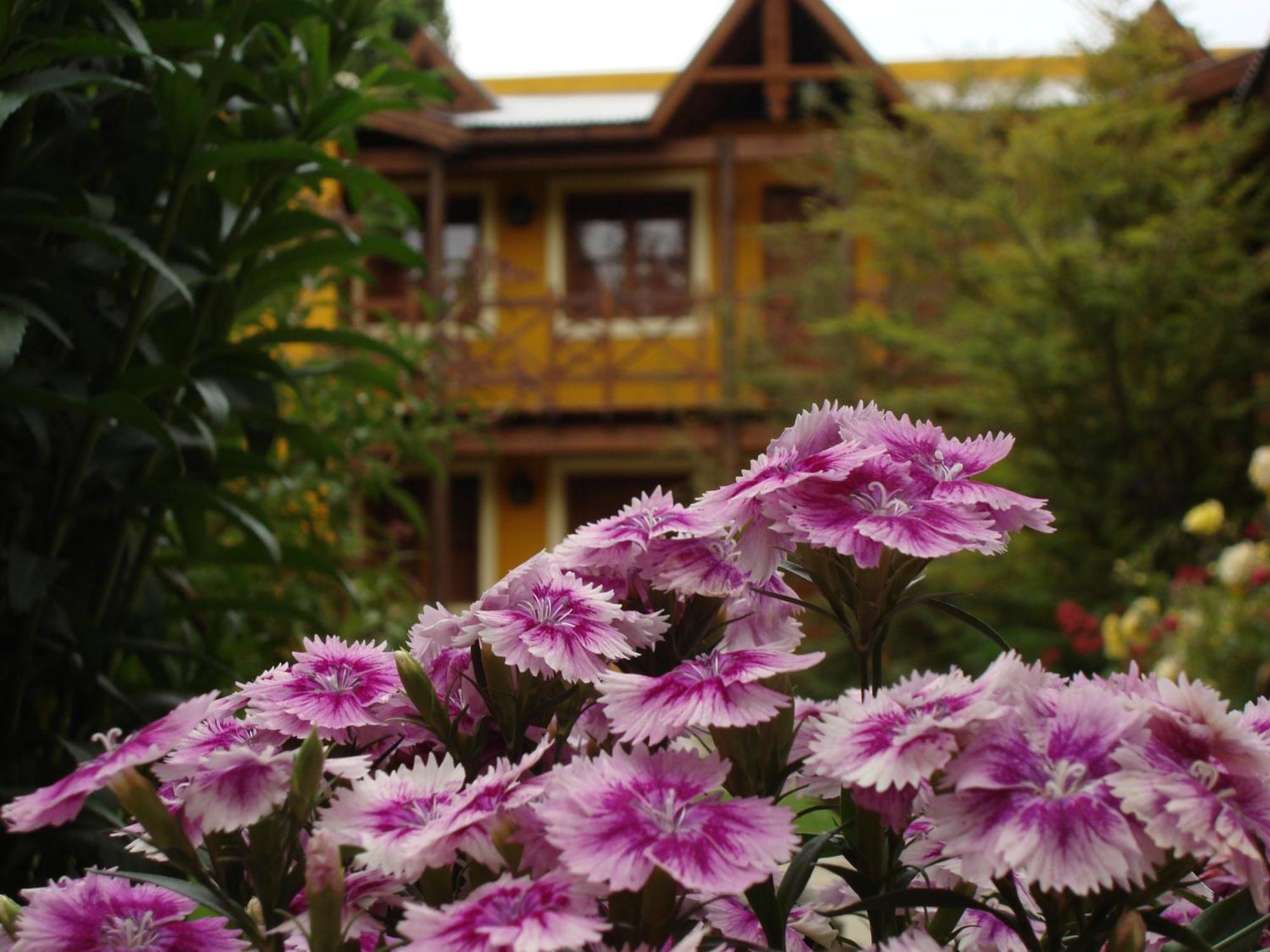 Kau Kaleshen Hotel El Calafate Exterior photo