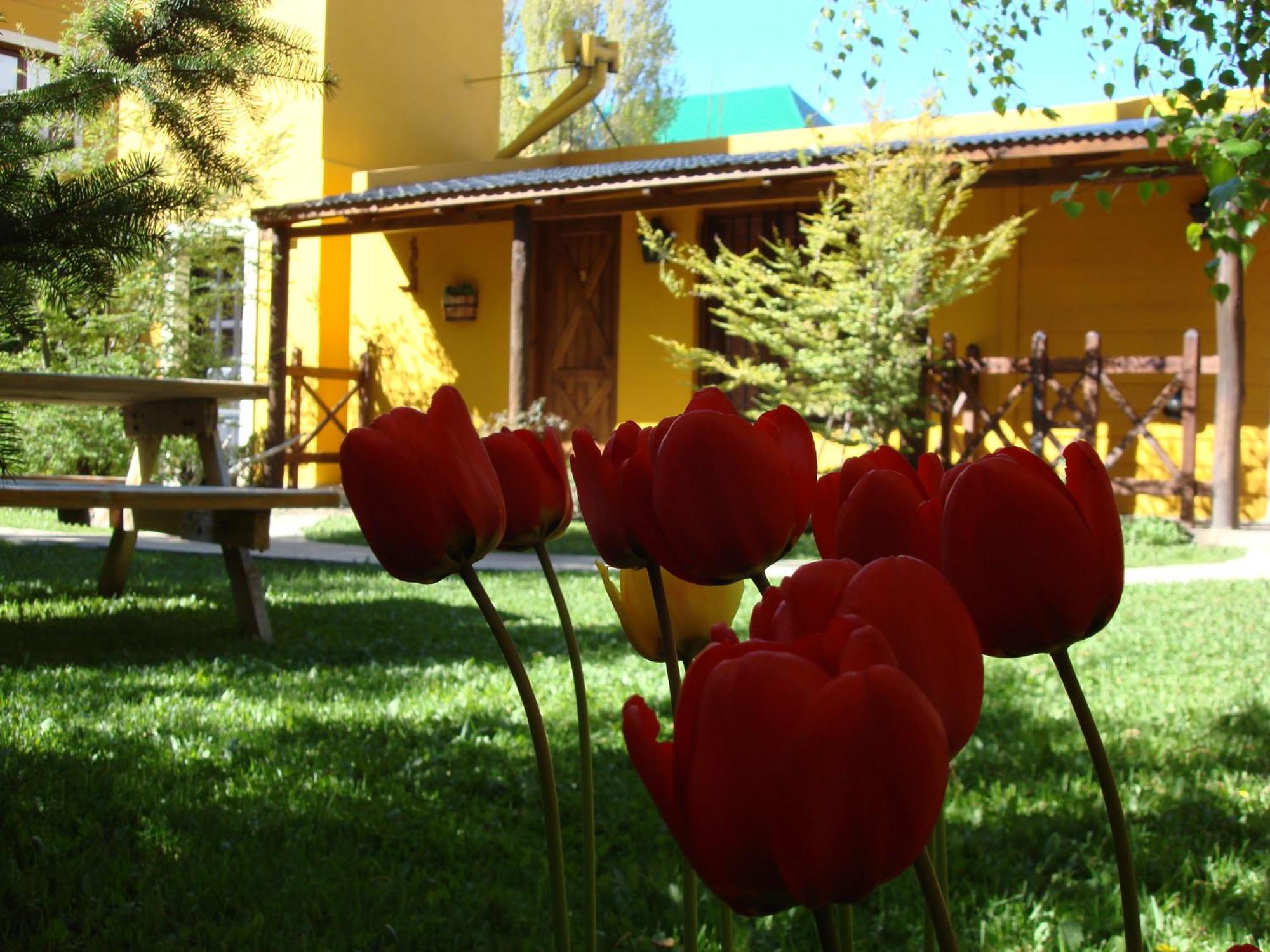 Kau Kaleshen Hotel El Calafate Exterior photo